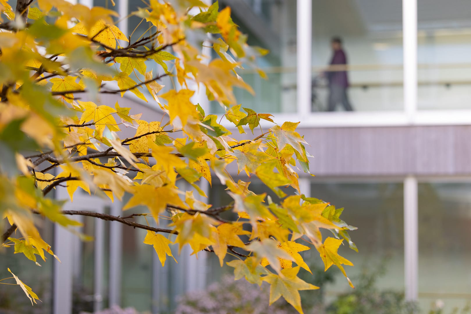 EMS Siviriez, lieu de la Photo officielle du  Conseil d'état Fribourg 2026 / Staatsrat Freiburg. Photo: STEMUTZ.COM